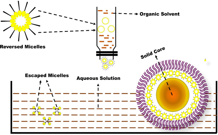 Figure 3