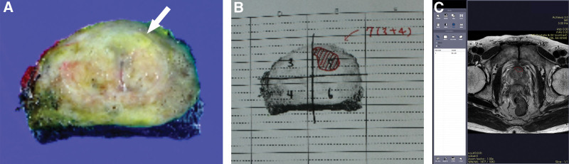 Figure 2.