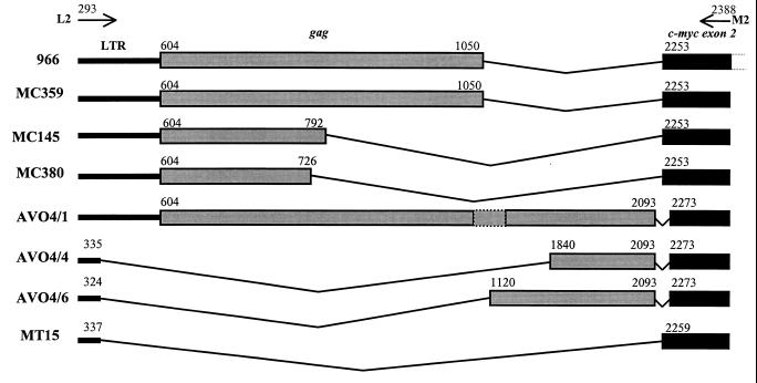 FIG. 3