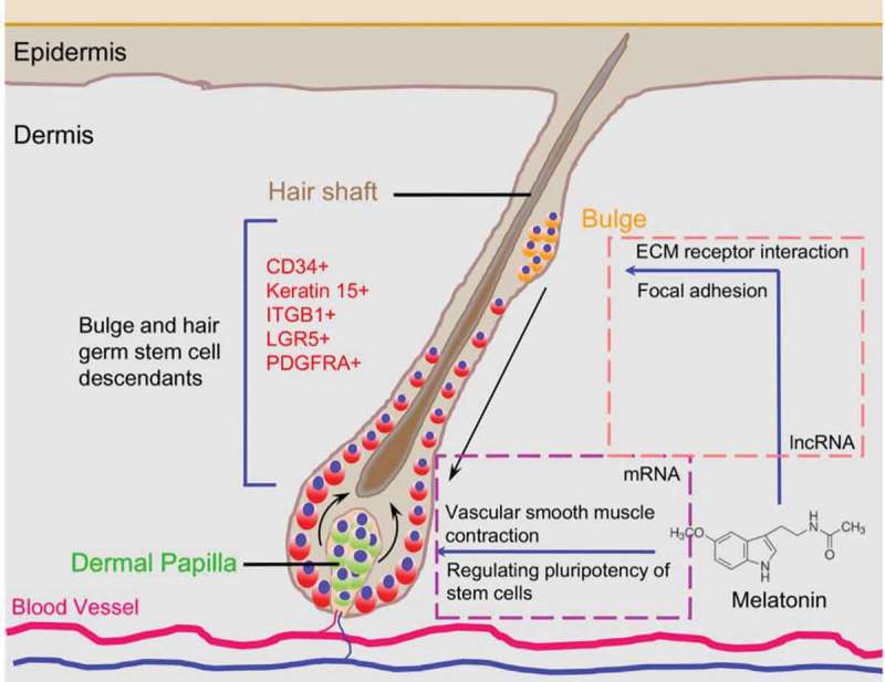 Figure 7.