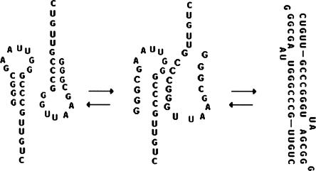 FIGURE 9.