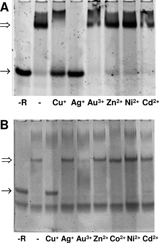 FIG. 8.