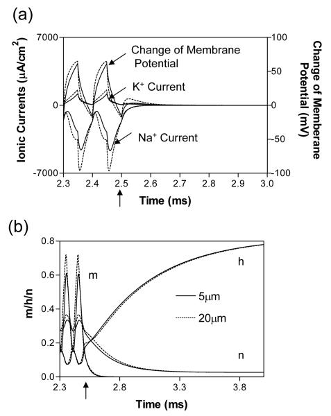 Fig.7