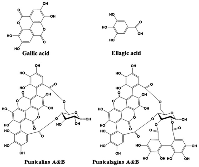 Fig. 1