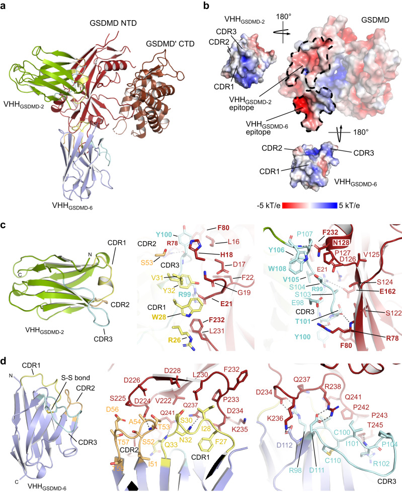 Fig. 4