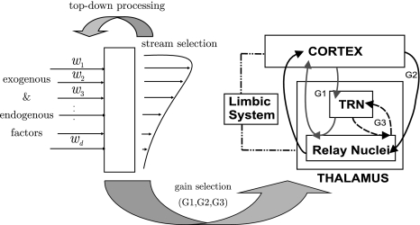 Fig. 1