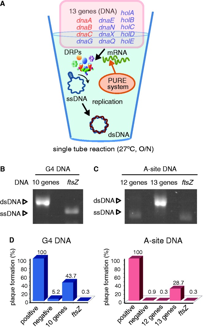 Figure 3.