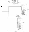 FIG. 1.