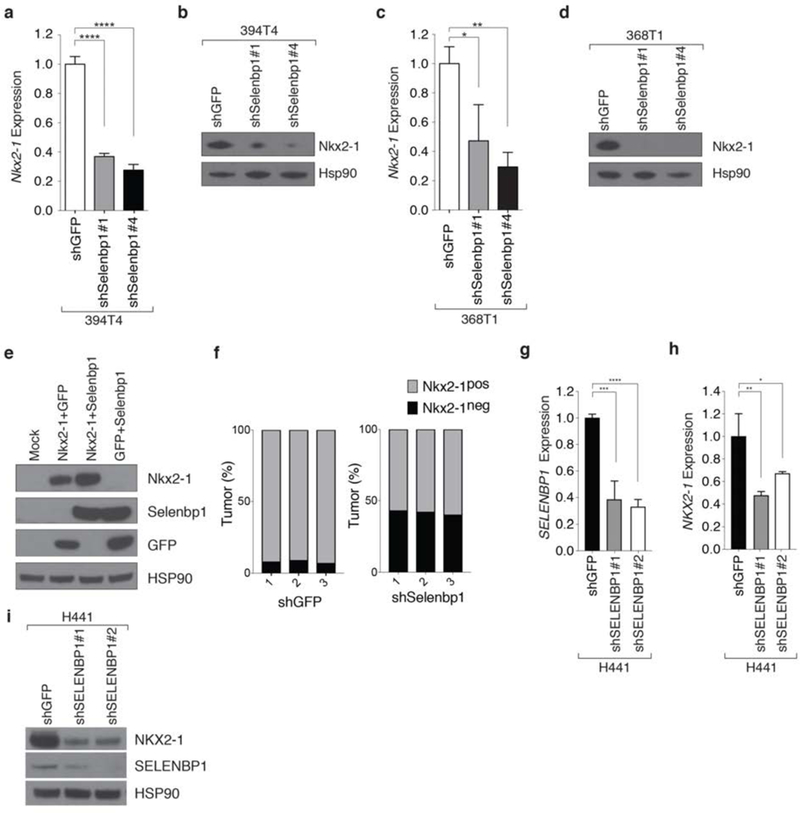 Figure 5: