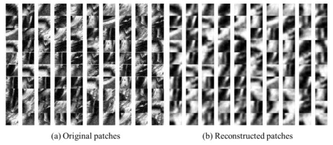 Fig. 8