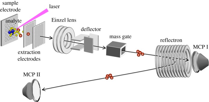 Figure 1.