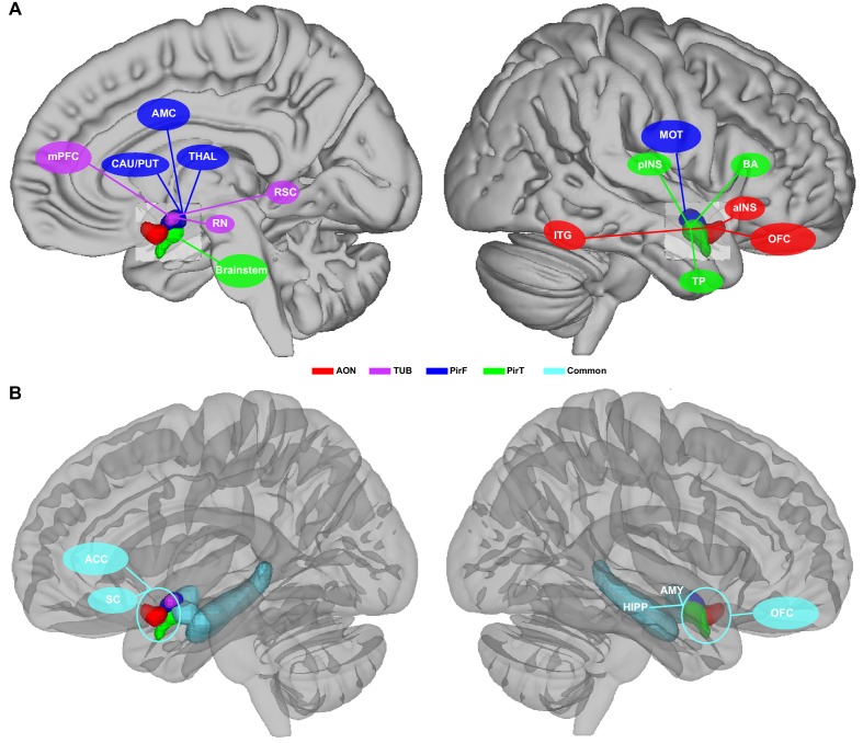 Figure 6.