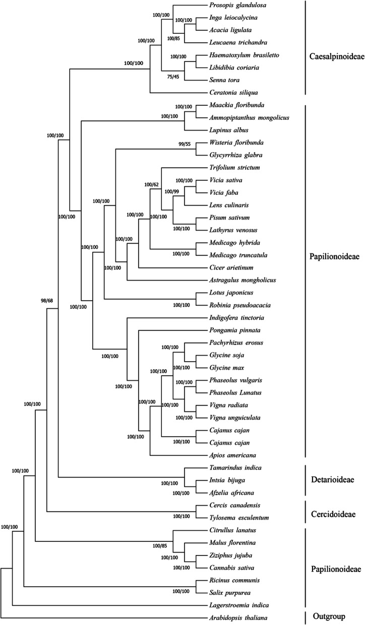 Fig. 8