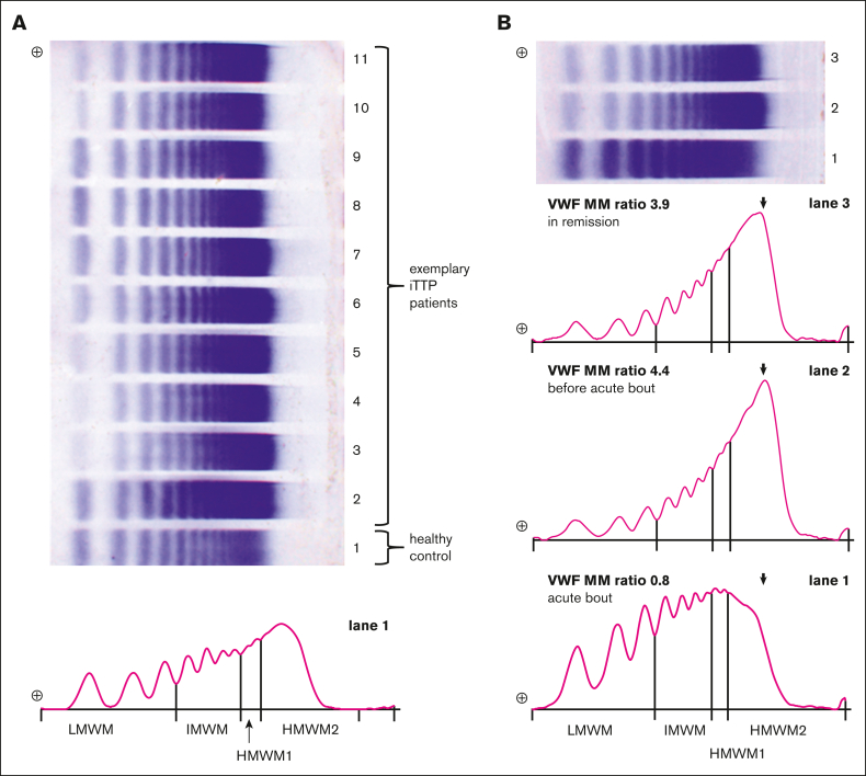 Figure 2.