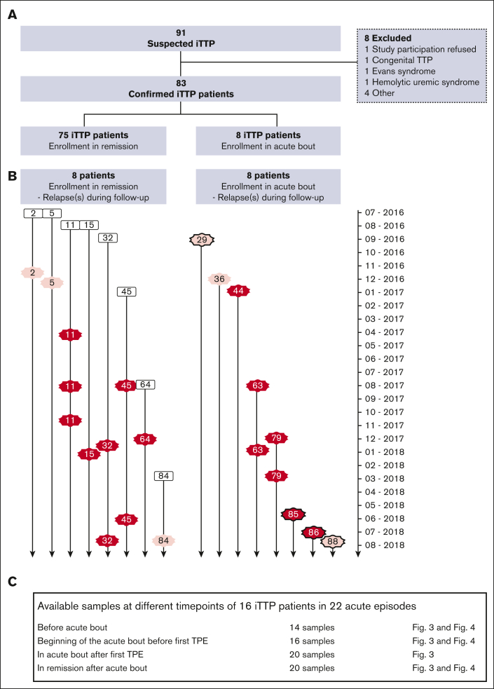 Figure 1.