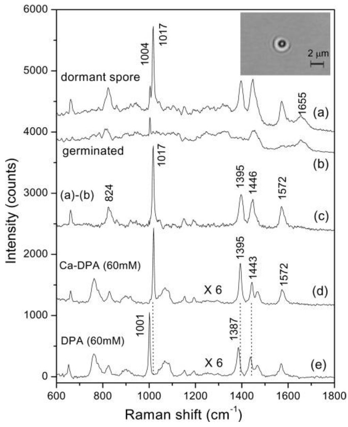 Figure 17