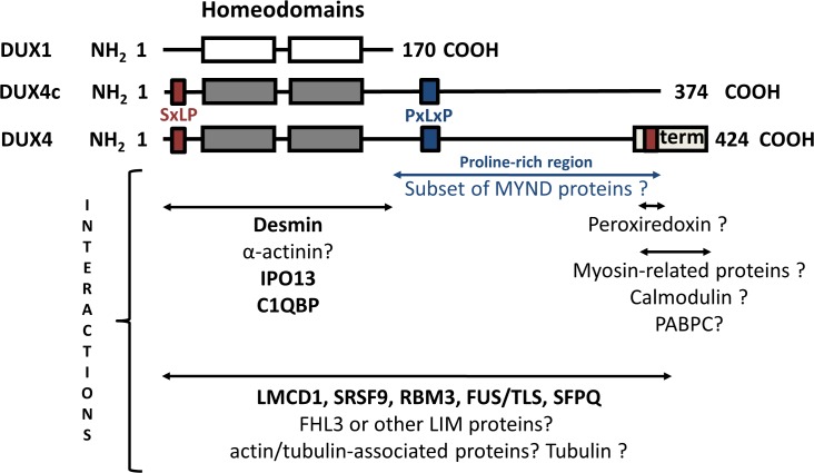 Fig 10