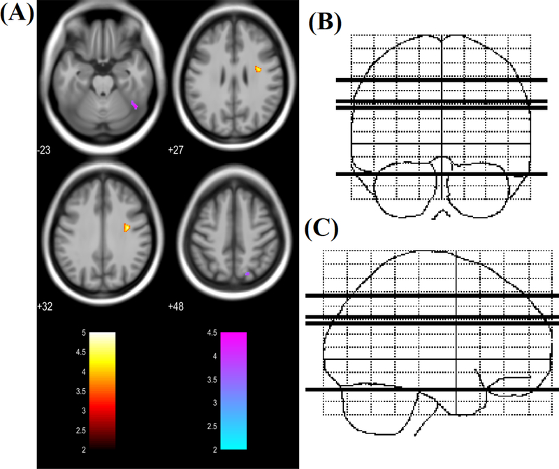 Figure 2: