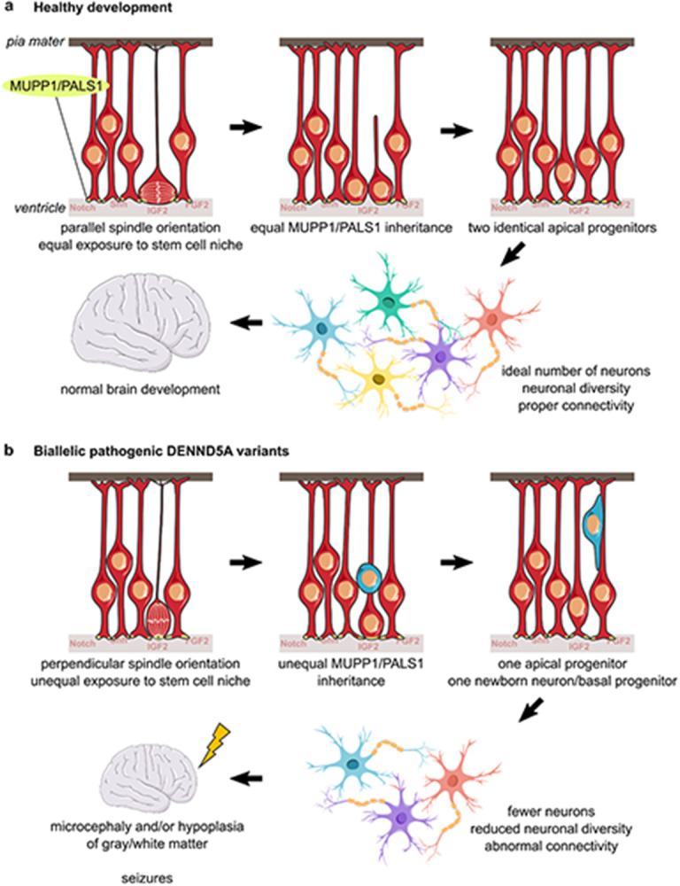 Figure 7: