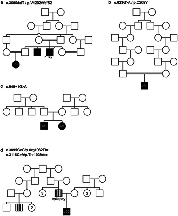 Extended Data Figure 1: