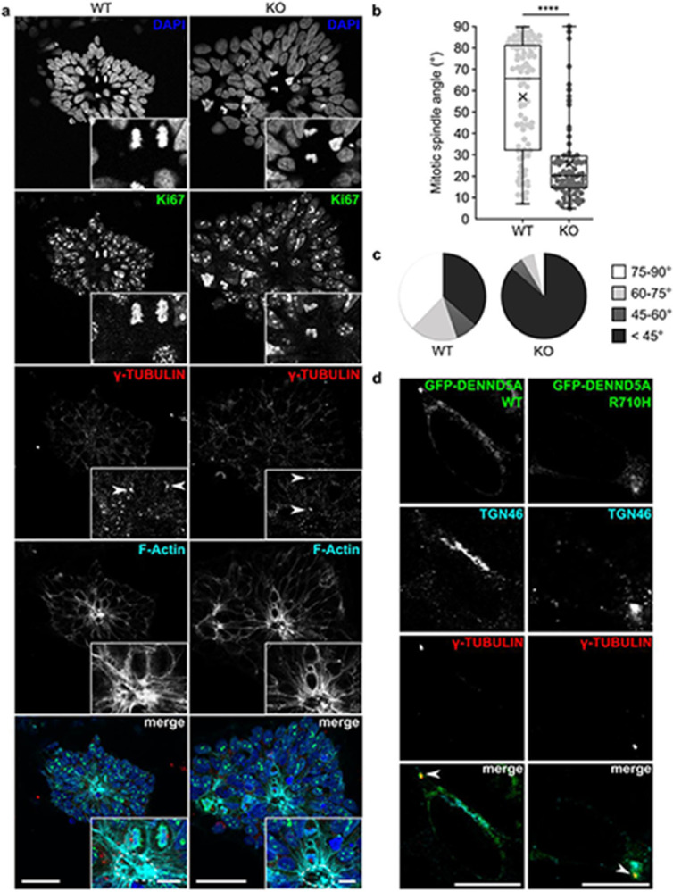 Figure 6: