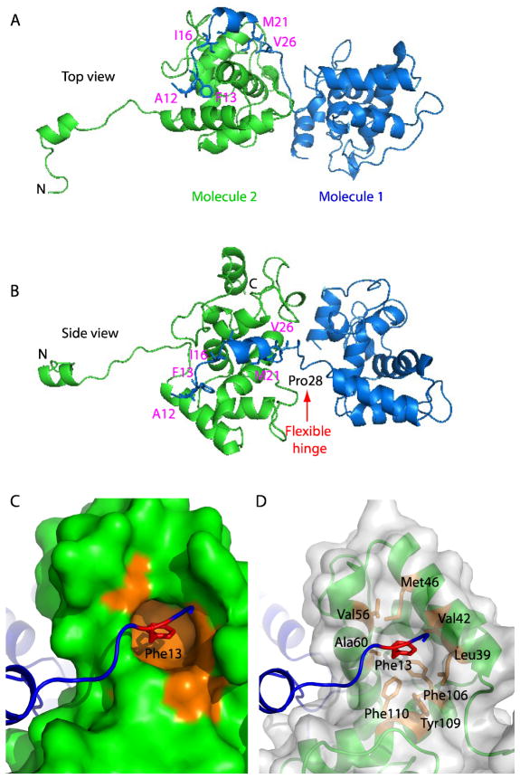 Fig 3