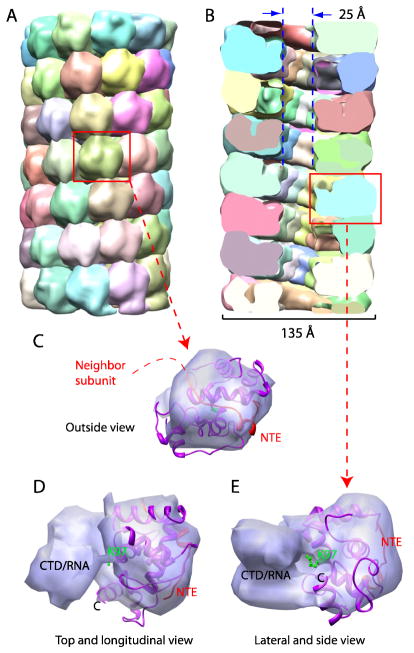 Fig 5