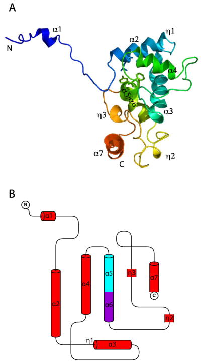 Fig 2