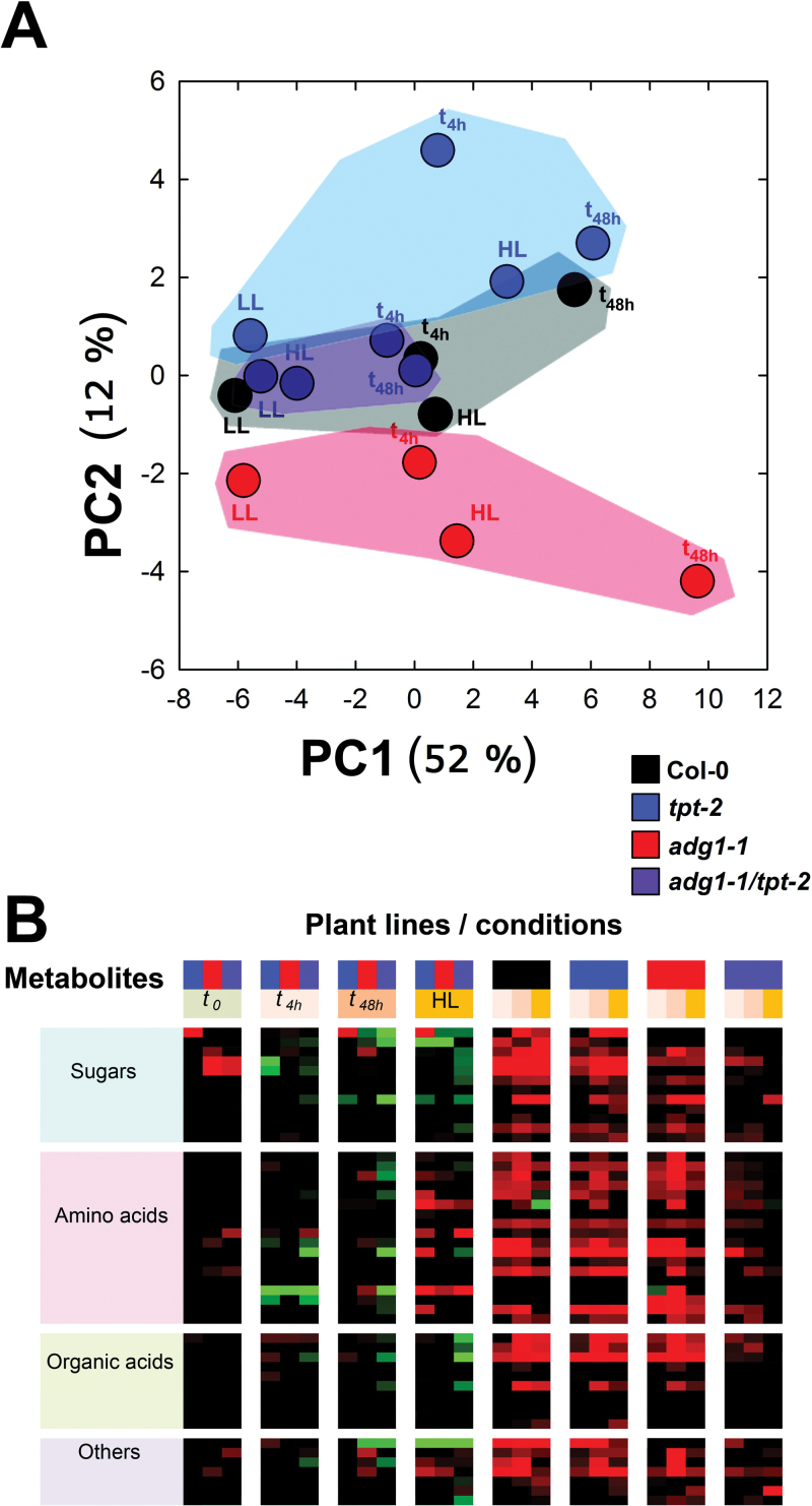 Fig. 10.