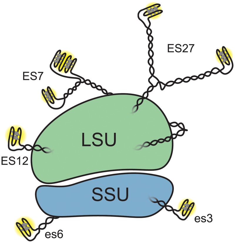 Fig 4