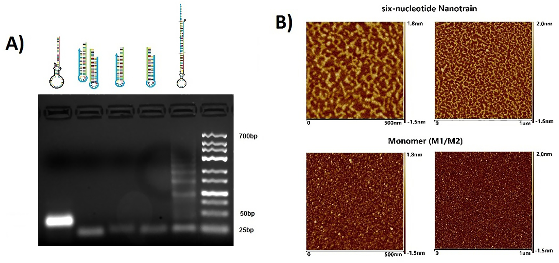 Figure 2.