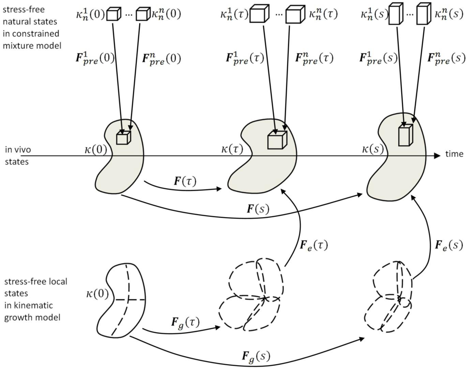 Figure 1: