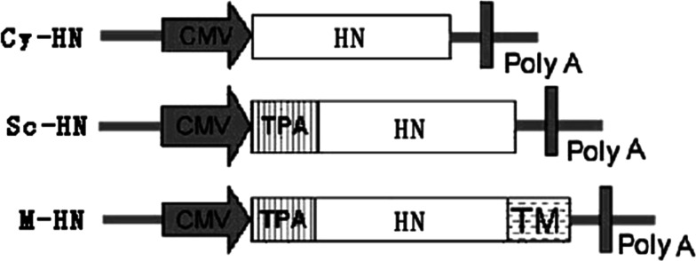 Fig. 1