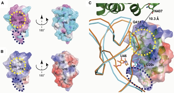 Figure 3.