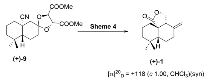 Scheme 5