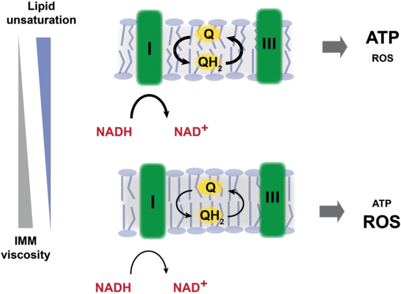 Figure 5: