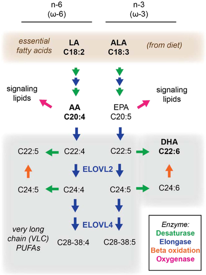 Figure 3: