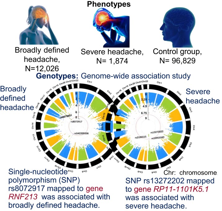 Genome–phenome wide association study of broadly defined headache - PMC