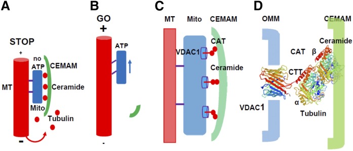 Fig. 10.