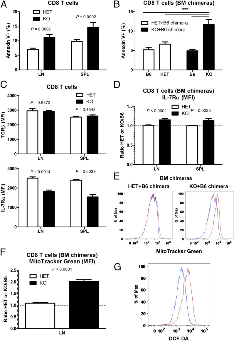 Canonical autophagy dependent on the class III phosphoinositide-3 ...