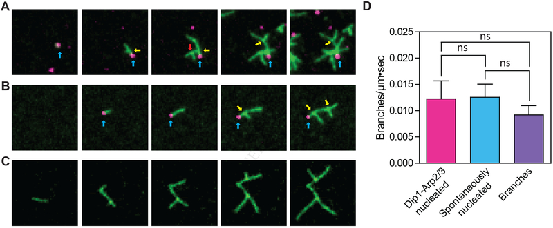 Figure 3: