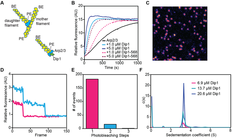 Figure 1: