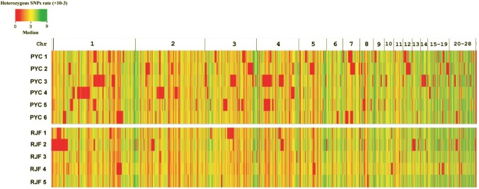 Fig. 3