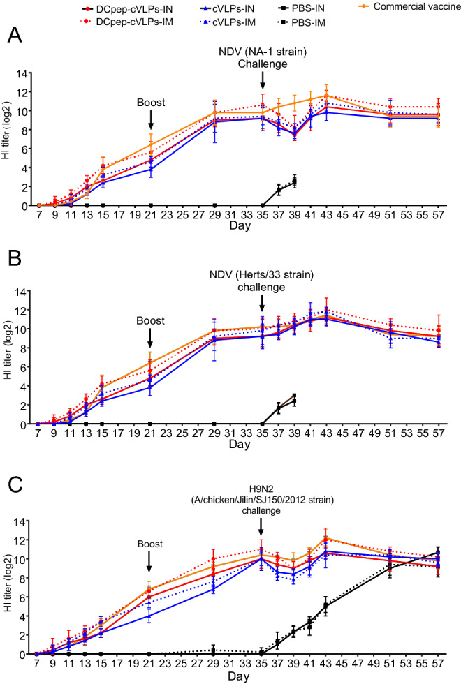 Fig. 3