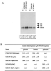 FIG. 6