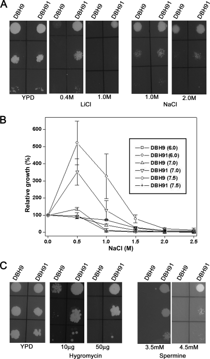 FIGURE 1.