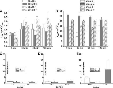 FIGURE 2.