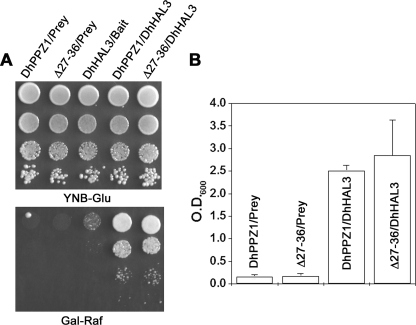 FIGURE 7.