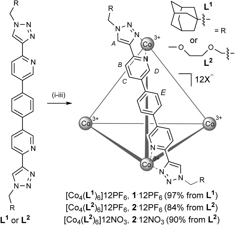 Scheme 1