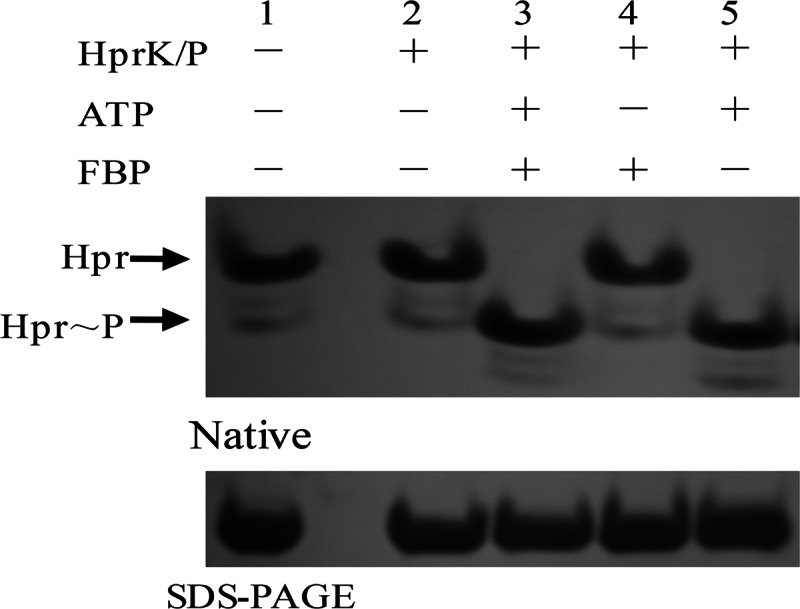 FIG 2